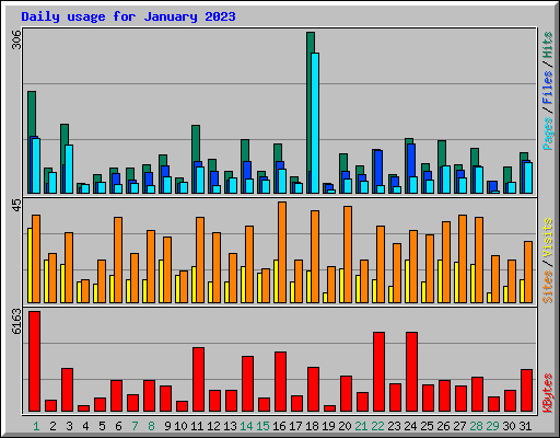 Daily usage for January 2023