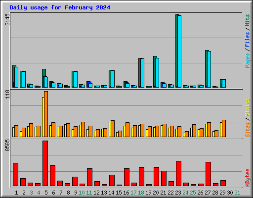 Daily usage for February 2024