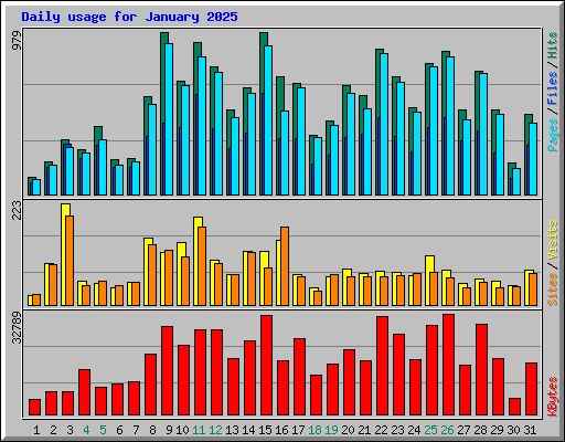 Daily usage for January 2025