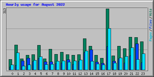 Hourly usage for August 2022