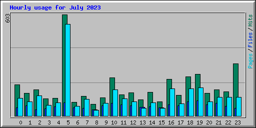 Hourly usage for July 2023