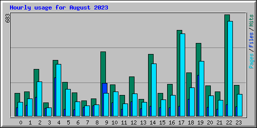 Hourly usage for August 2023