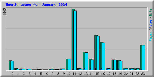 Hourly usage for January 2024