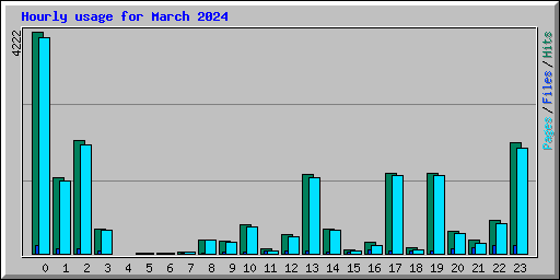 Hourly usage for March 2024