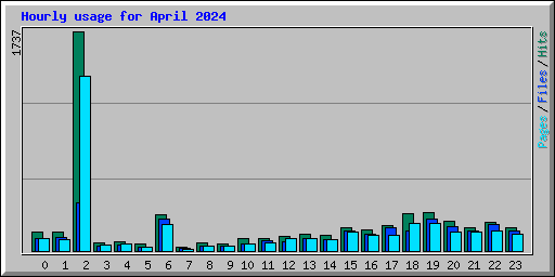 Hourly usage for April 2024