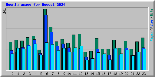 Hourly usage for August 2024