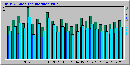 Hourly usage for December 2024