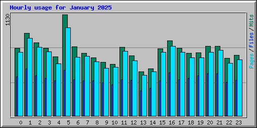 Hourly usage for January 2025