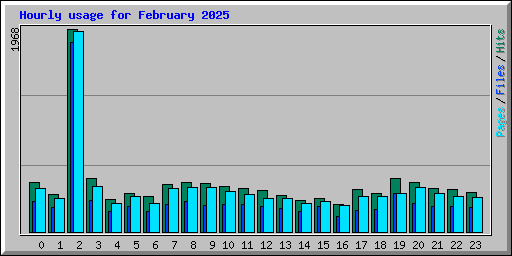 Hourly usage for February 2025