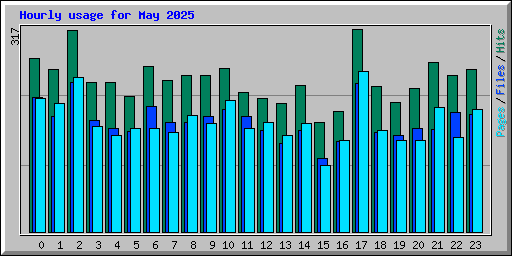 Hourly usage for May 2025