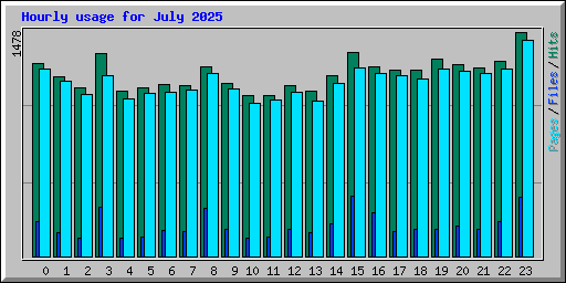 Hourly usage for July 2025