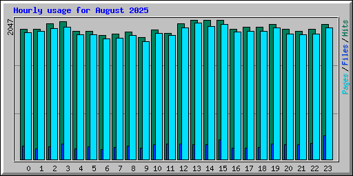 Hourly usage for August 2025