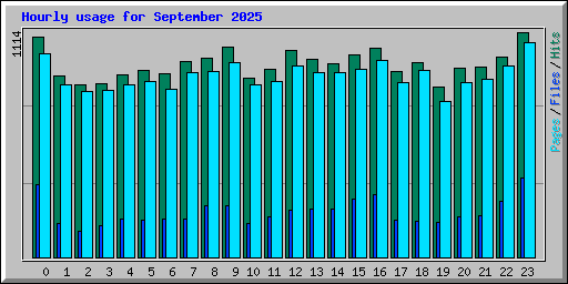 Hourly usage for September 2025