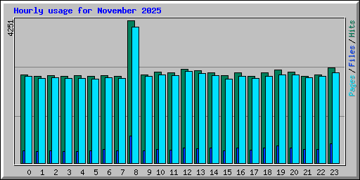 Hourly usage for November 2025