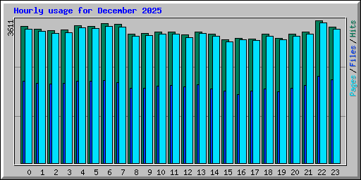 Hourly usage for December 2025