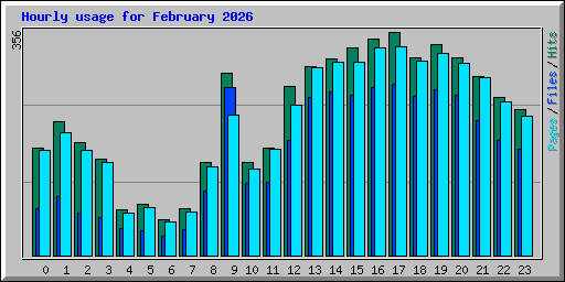 Hourly usage for February 2026
